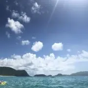 あかの画像