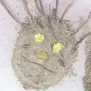 k...❥の画像