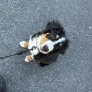 とわ