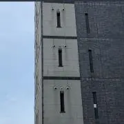 Yamabikokoの画像