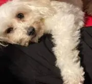 ささみゃん☆の画像