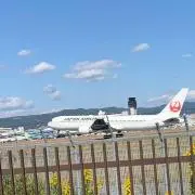かい【即購入OK】