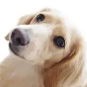takeshiの画像