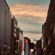 MIの画像