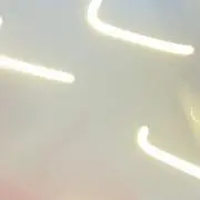 myh