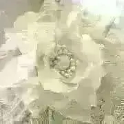 fleurir＊プロフィールご覧下さい＊