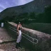 yyyy2yyy11の画像