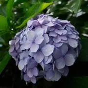 JMC17の画像