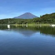 ALEXの画像