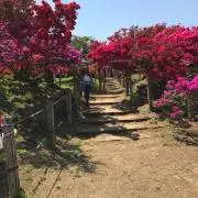 yukiの画像