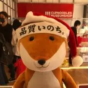 エネキツネの画像