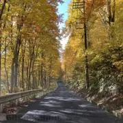 田中の画像