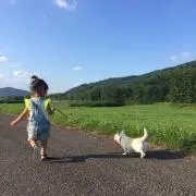 kokocha☆プロフお読み下さい☺︎の画像