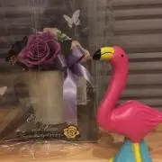 おかめの画像