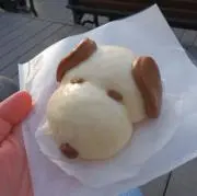 ハナHanaの画像