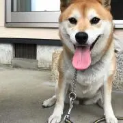 ひー