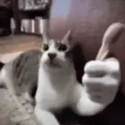 ミコラウスの画像