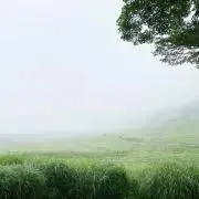 ドラ