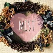 MISTの画像
