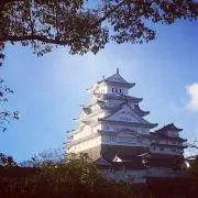 ギガマックスの画像