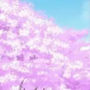 まや※購入コメント前プロフ必読