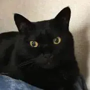 ちかげの画像
