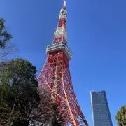 IKOIKO3588の画像