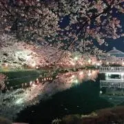 AAA★の画像