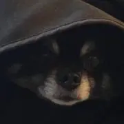 ラテサンブラック
