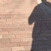 アイバンの画像