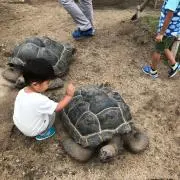 nayuの画像