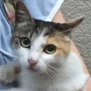 ゆうちゃんけんちゃん