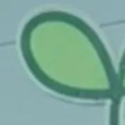 まも