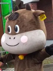 山珊瑚の画像