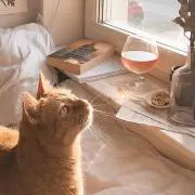 uniの画像
