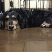 Nanaの画像