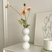 りすの画像