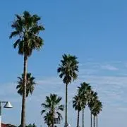 mon.の画像
