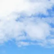 まの画像