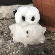 みにの画像