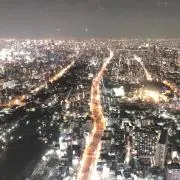 まるまるの画像