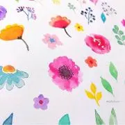 ゆきの画像