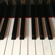 ねねしん