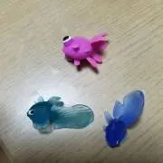 S☆A