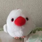 こん子の画像