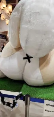 貯金弐万円wの画像