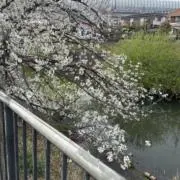 なつめぐ
