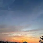 ちむの画像