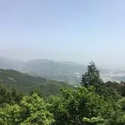 ナカジマの画像