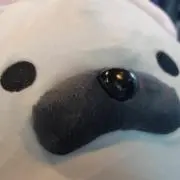 なおまの画像